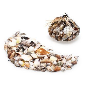 COASTAL DECOR Mixed Bag Sea Shells HOME DECOR VASE FILLER NEW  